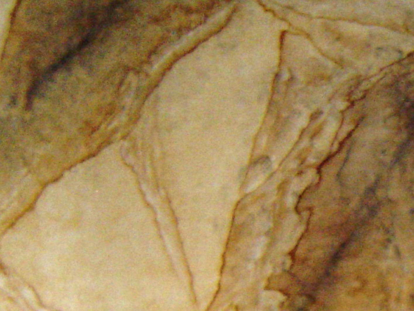 Als Restaurator für Malerei und Imitation im Altbau - Treppenhaus stellt Malermeister Schimpf Treppenhäuser wieder im Erbauungszustand her. Hier übernimmt er von allen Vor und Malerarbeiten bis zur Restaurierung alle notwendigen Arbeiten. Der Malerbetrieb restaurierung u. Gestaltung (exklusive Malerarbeiten) arbeitet seit 2002 in dieser Nische und hat sich bei der Restaurierung von Marmorimitation oder Marmorierung einen Namen gemacht. Diese Steinimitationen ist eine Marmormalerei von Malermeister Schimpf und wurde nach den Malerarbeiten mit einem Kalkspachtel mit einer Bierlasur aufgetragen.